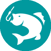 Captain Icon